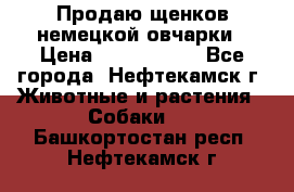 Продаю щенков немецкой овчарки › Цена ­ 5000-6000 - Все города, Нефтекамск г. Животные и растения » Собаки   . Башкортостан респ.,Нефтекамск г.
